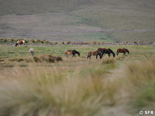 Naturreservat Antisana