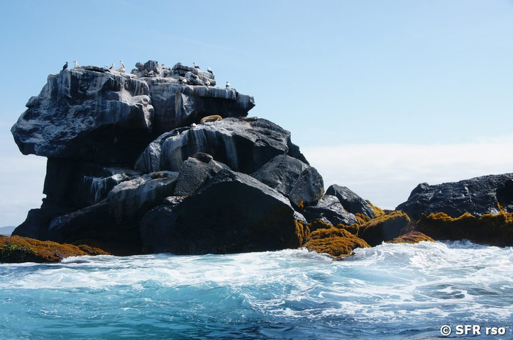 Roca Union in Los Tuneles, Galapagos