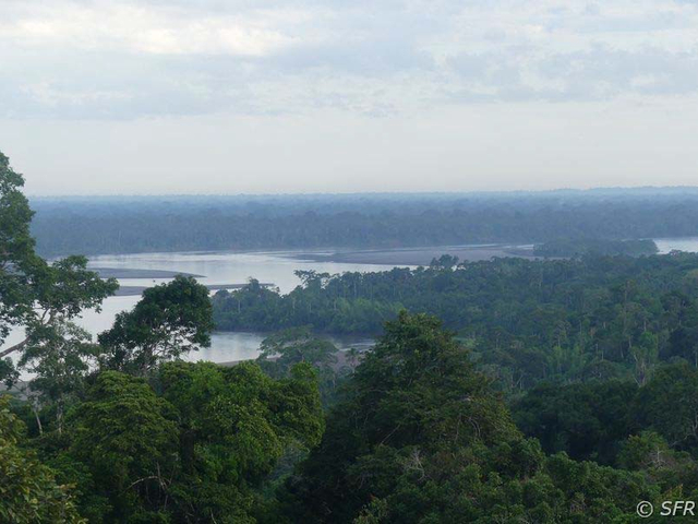 Panorama_Rio_Napo