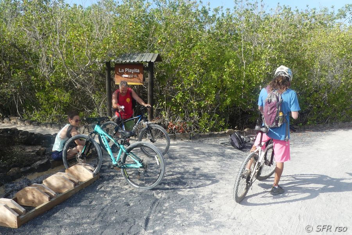 Biking nach Humedales auf der Isabela Insel, Galapagos