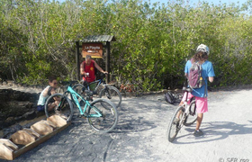 Biking nach Humedales auf der Isabela Insel, Galapagos