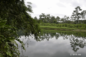 Am Ufer in Rio Palenque
