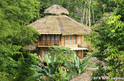 La Selva Lodge Bungalow 