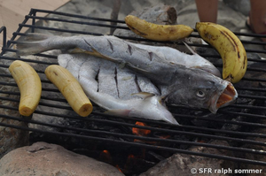 Fisch und Bratbananen auf Grillrost in Ecuador