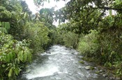 Fluss bei Mindo, Ecuador