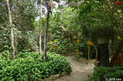 Gartenanlage Hosteria Mandala Puerto Lopez 