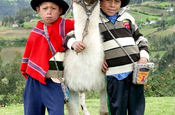 Jungen mit Alpaka, Ecuador