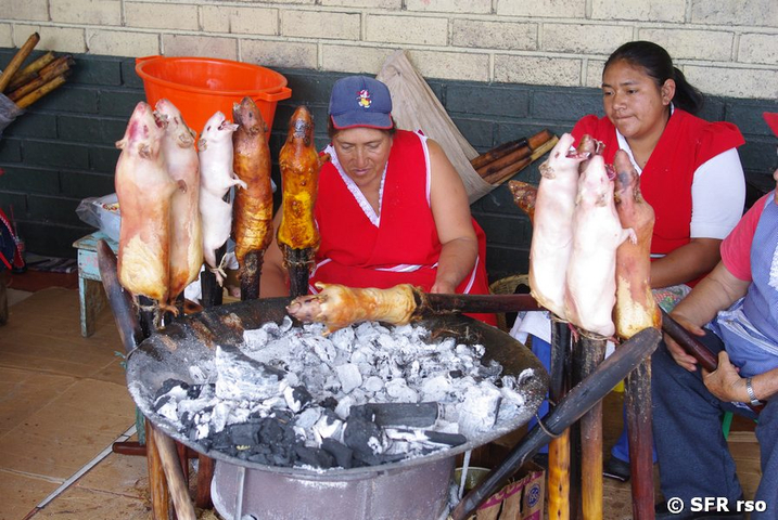 Meerschweinchen auf Markt in Gualaceo, Ecuador