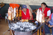 Meerschweinchen auf Markt in Gualaceo, Ecuador