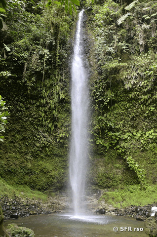 Wasserfall Hola Vida in Ecuador