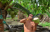 Kokoswasser nach der Arbeit in Ecuador 