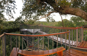 Kapokbaum Aussichtsplatform