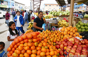 Mandarinen Stand in Ecuador