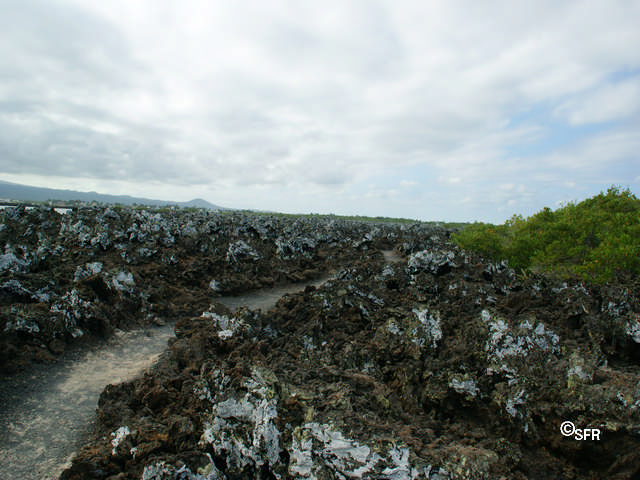 Tintoreras Lava