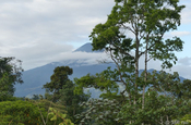 Vulkan Provinz Napo im Nationalpark Sumaco in Ecuador