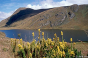 Culebrillas See Inkapfad nach Cuenca Anden in Ecuador