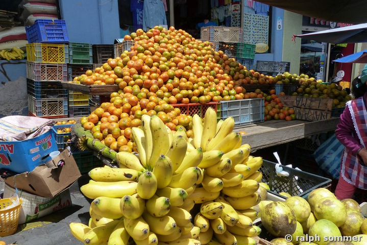Bananen und Mandarinen in Ecuador