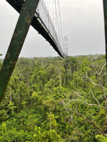 Brücke zur Naturbeobachtung Sacha Lodge