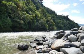 Flussufer im Urwald Ecuadors