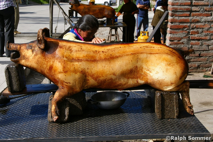 Ganzes Schwein in Ecuador