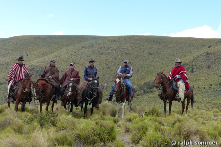 Cowboys am Antisana in der Páramo Landschaft