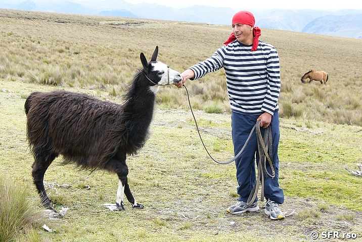 Mann mit Lama, Ecuador