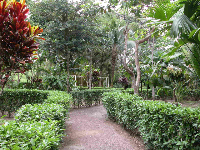 Garten Cabañas Heliconia