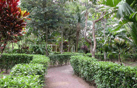 Garten Cabañas Heliconia
