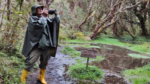 Ralph Sommer im Polylepis Wald Ecuador