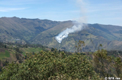 Grasbrand in den Anden in Ecuador
