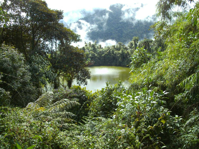 Lagune am Sumaco, Ecuador