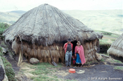 Indigene Hütte in Ozogoche, Ecuador