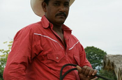 Montubio-Cowboy mit Lasso in Ecuador