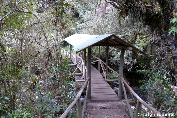 Bruecke bei Llaviucu im Nationalpark Cajas Ecuador