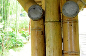 Bambusbrücke in Ecuador