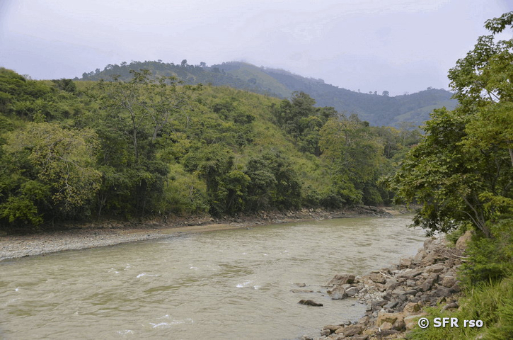 Fluss im Reservat Puyango in Ecuador