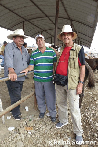 Pferdekauf Santo Domingo Ralph Sommer Ecuador