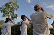 Vogelbeobachtung Yachana Lodge Rio Napo Ecuador