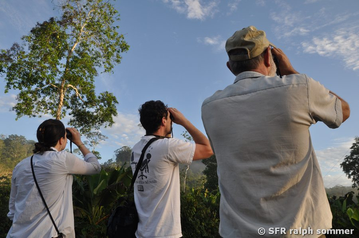 Vogelbeobachtung Yachana Lodge Rio Napo Ecuador