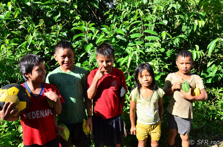 Tena Hakuna Matata Lodge Kinder Ecuador