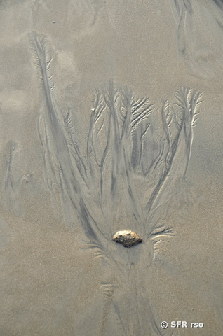 Muster im Sand am Strand bei Canoa, Ecuador