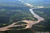 Río Napo Urwald Luftaufnahme, Ecuador