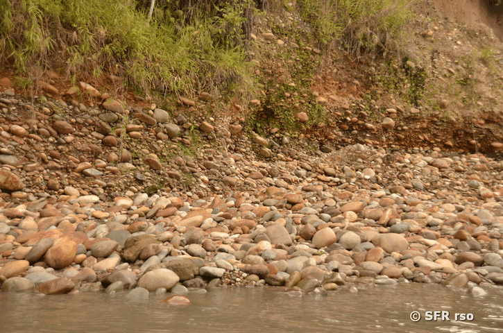 Steinablagerungen am Río Napo, Ecuador
