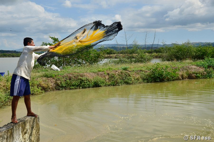 Garnelenfang in Ecuador