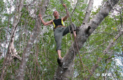 Mangrovenklettern Ralph Sommer Ecuador