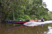 Holzkanu mit Touristen im Río Cuyabeno, Ecuador