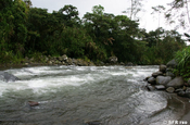 Tubing auf dem Río Mindo in Ecuador