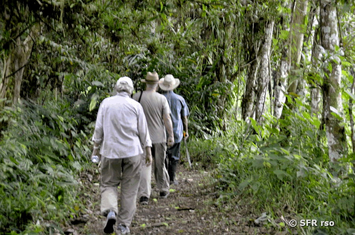Urwald Wanderung im Reservat La Perla in Ecuador