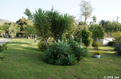 Gartenanlage Hostería Chorlavi Ecuador 