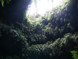Trillizos Höhle
